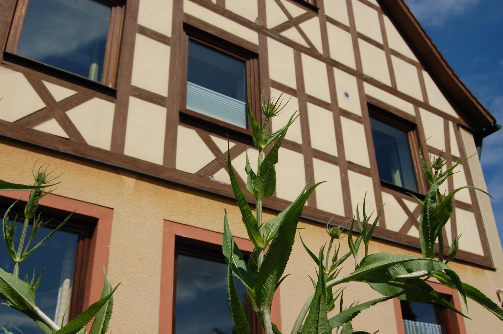 Gasthof Linden & Wildkraeuterhotel Windelsbach Kültér fotó